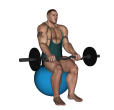 Reverse Curl - Fitness Ball EZ Bar